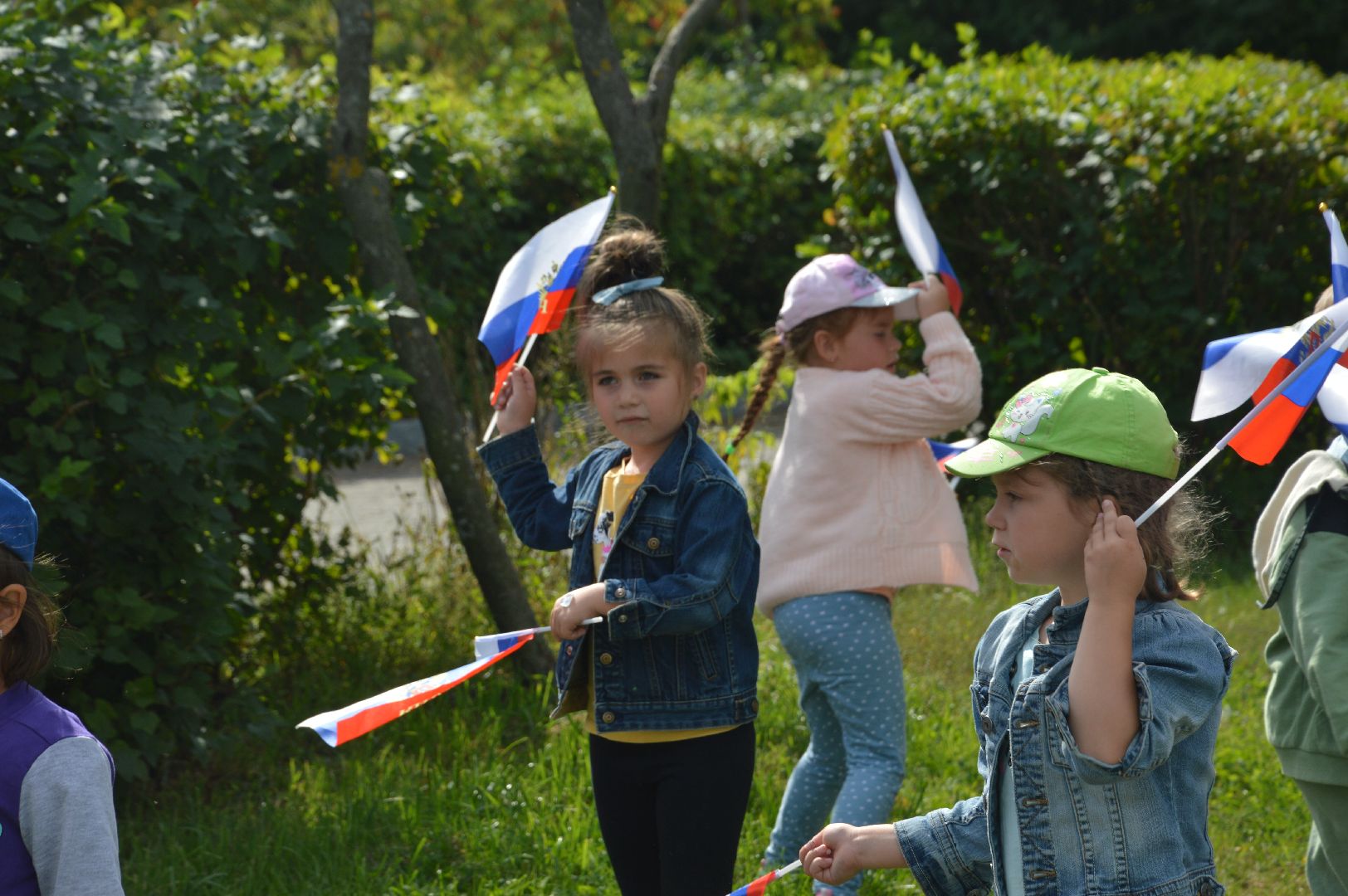 Шатура, Петровское, Российский флаг, #триколор