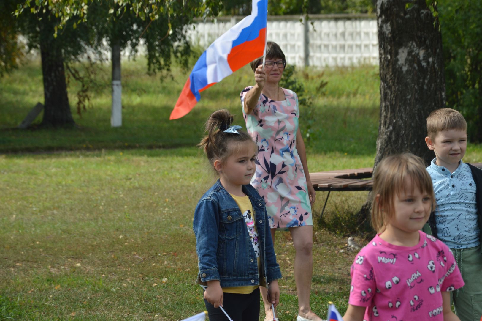 Шатура, Петровское, Российский флаг, #триколор