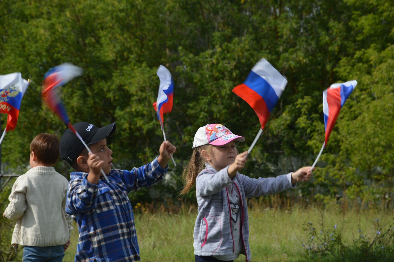 Шатура, Петровское, Российский флаг, #триколор