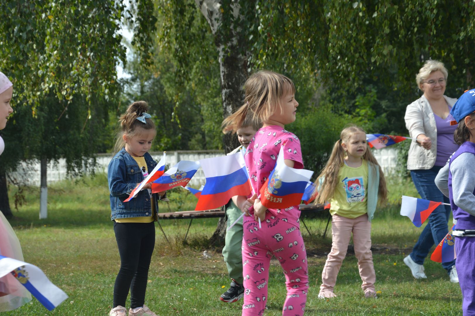 Шатура, Петровское, Российский флаг, #триколор