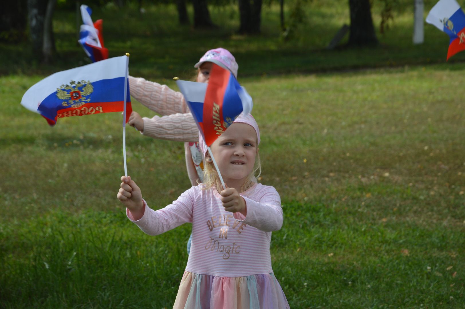 Шатура, Петровское, Российский флаг, #триколор