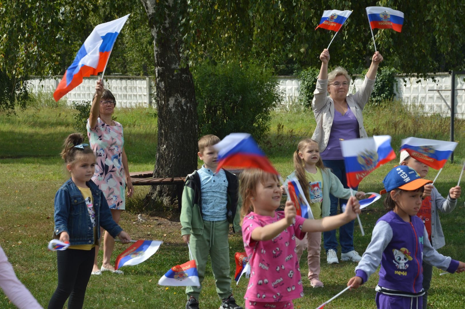 Шатура, Петровское, Российский флаг, #триколор