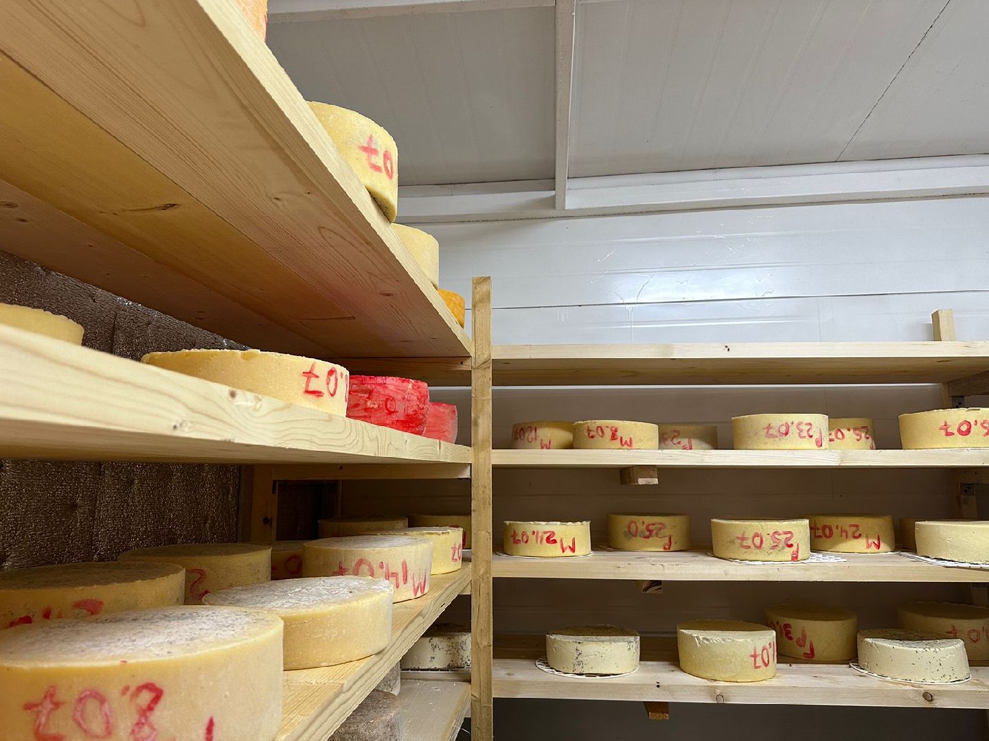 Фермеры Подмосковья, сыроварня в Наро-Фоминске