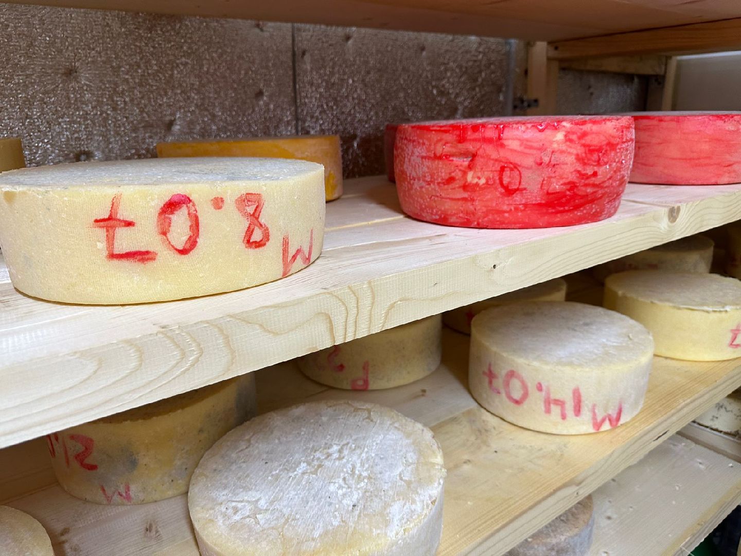 Фермеры Подмосковья, сыроварня в Наро-Фоминске