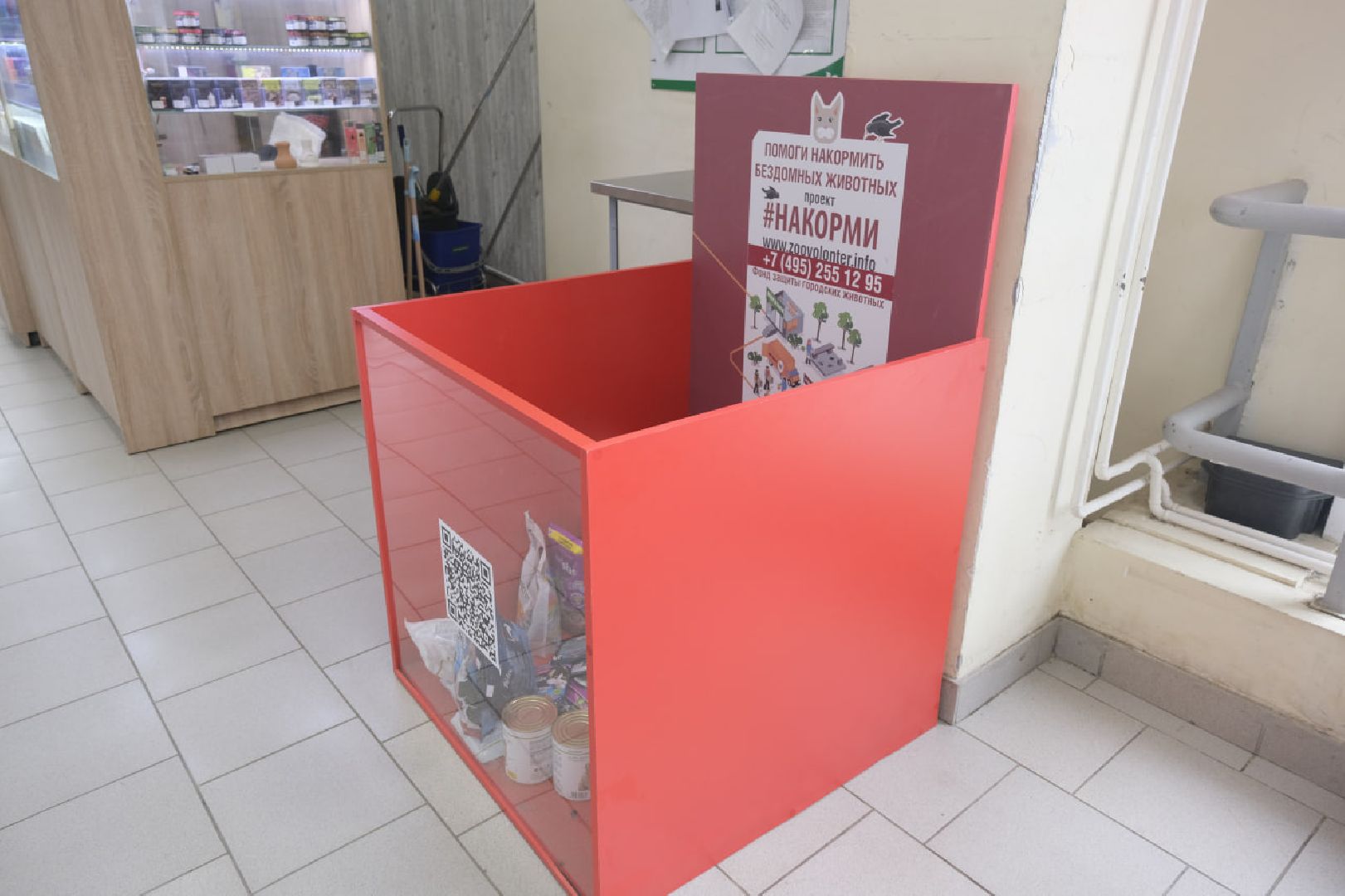 Пущино, кошки