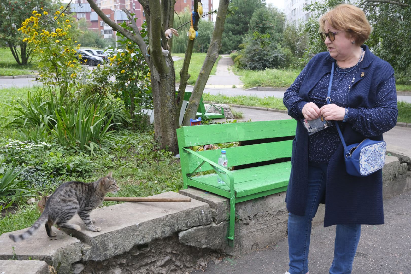 Пущино, кошки