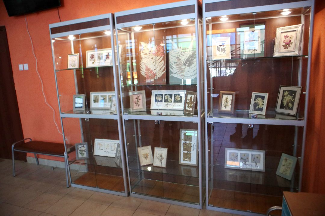 Пущино, культура, выставка, ЦКР