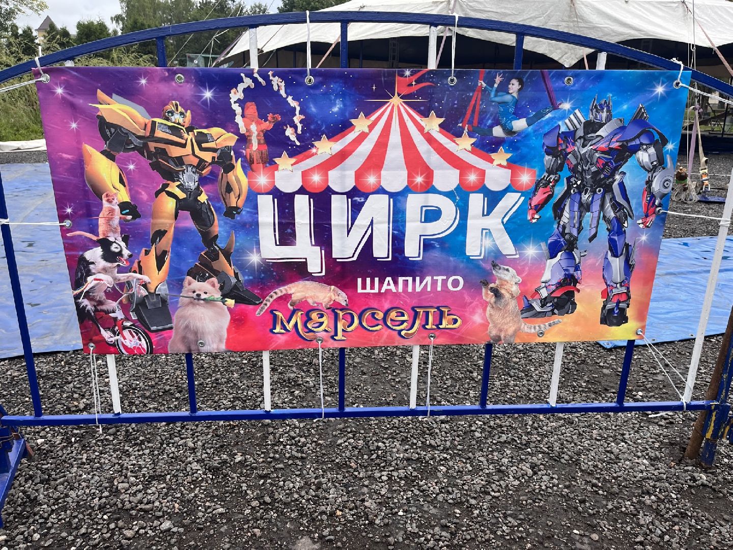 Шаховская, цирк, представление