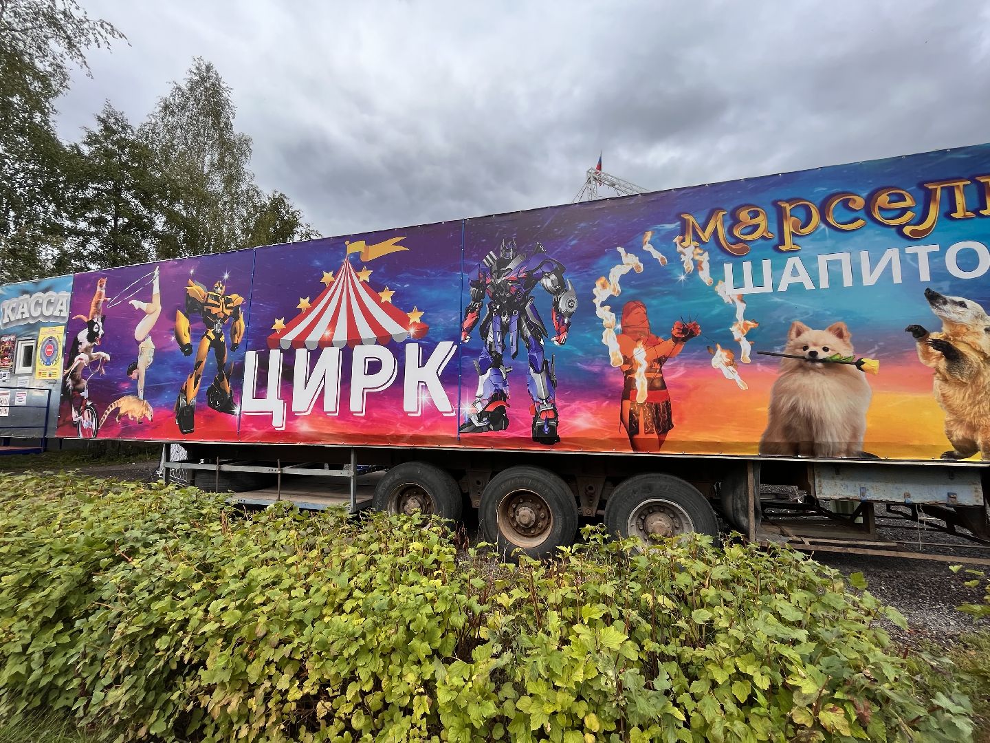 Шаховская, цирк, представление