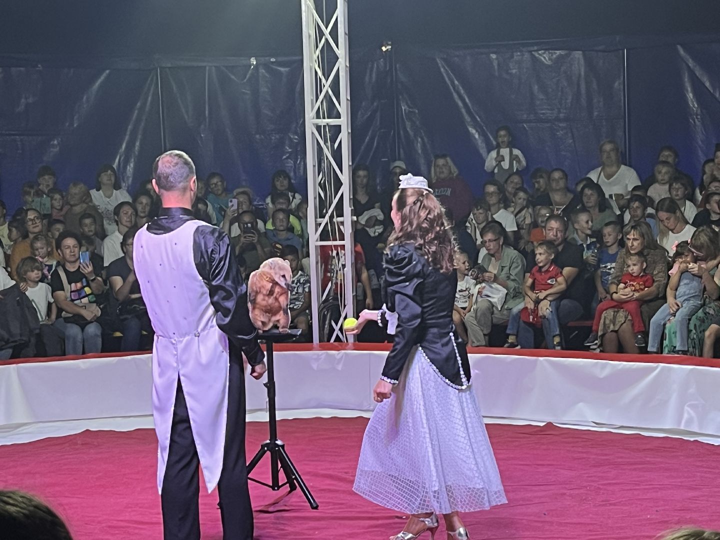 Шаховская, цирк, представление