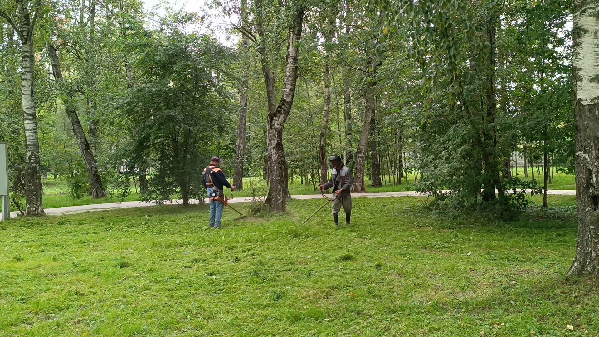 Лобня, благоустройство, трава