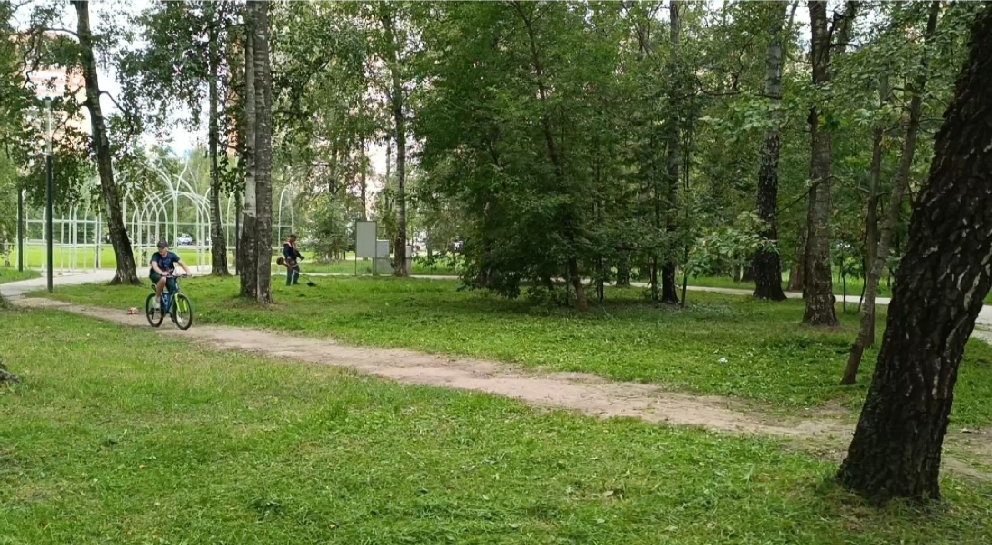 Лобня, благоустройство, трава