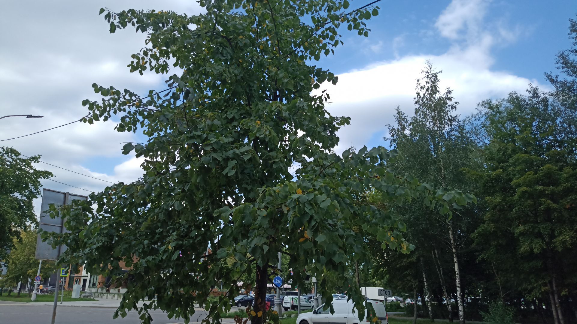 Реутов, благоустройство, МЦД-4, метро, поезда