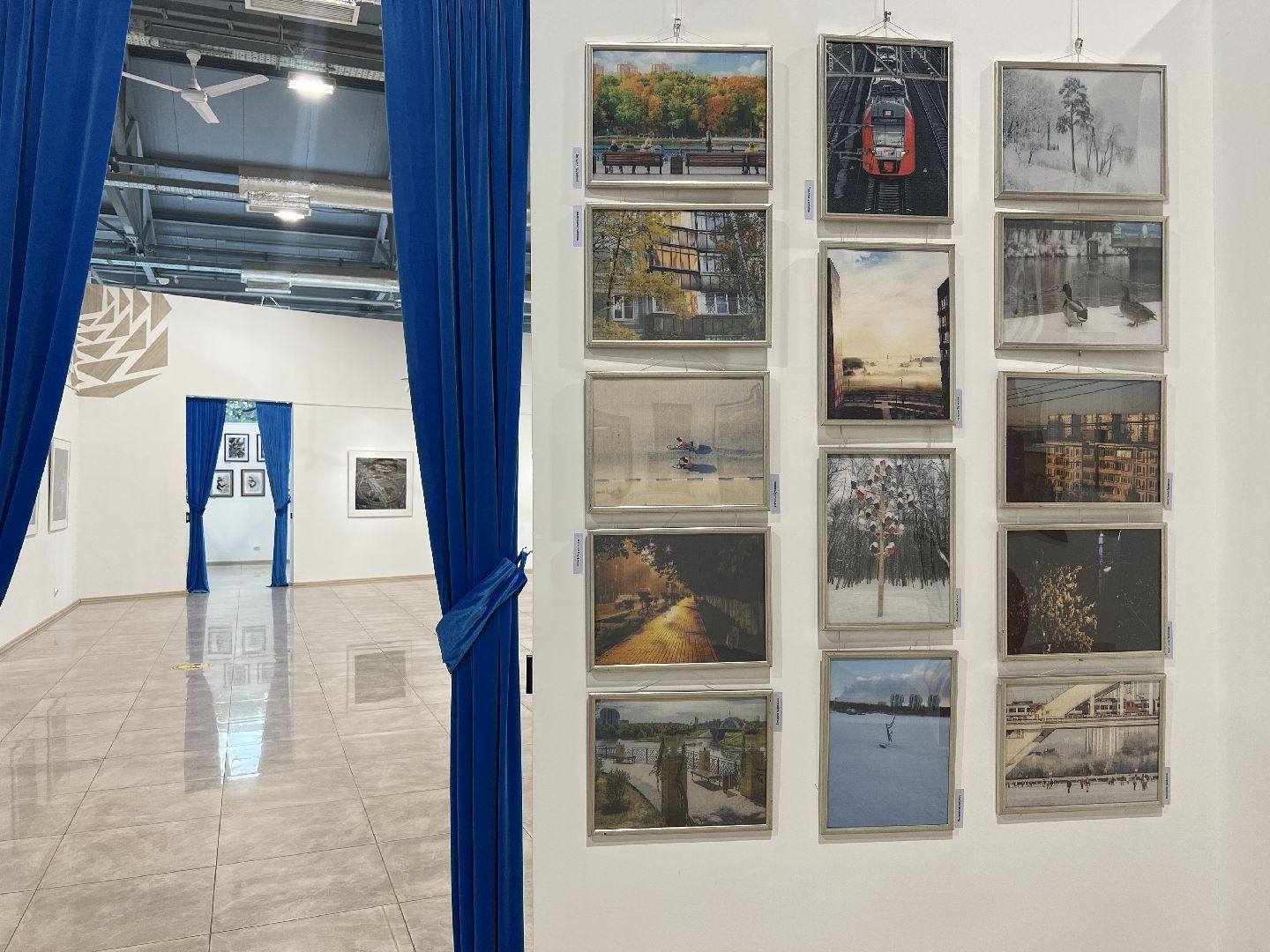 Химки, музей, выставка, Артишок