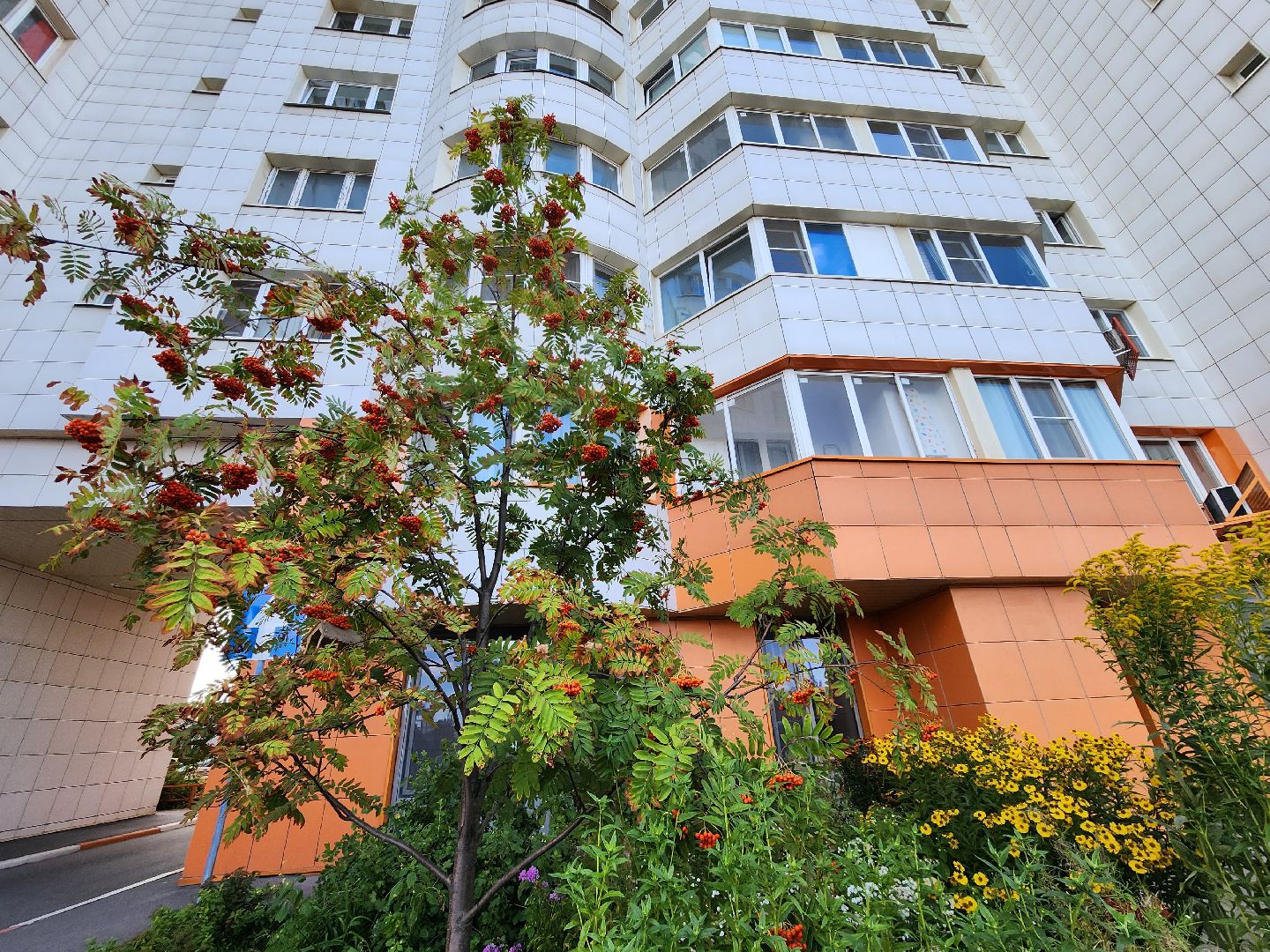 Одинцово, Новоивановское, дом, жилплощадь, иск, администрация,