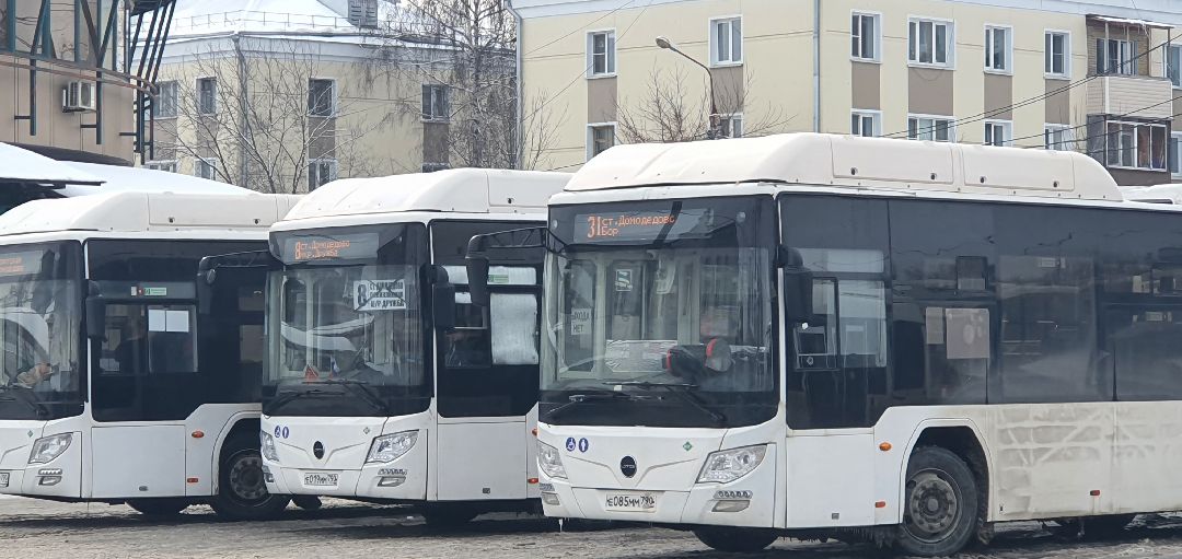 8 Марта, Минтранс Подмосковья, бесплатный проезд