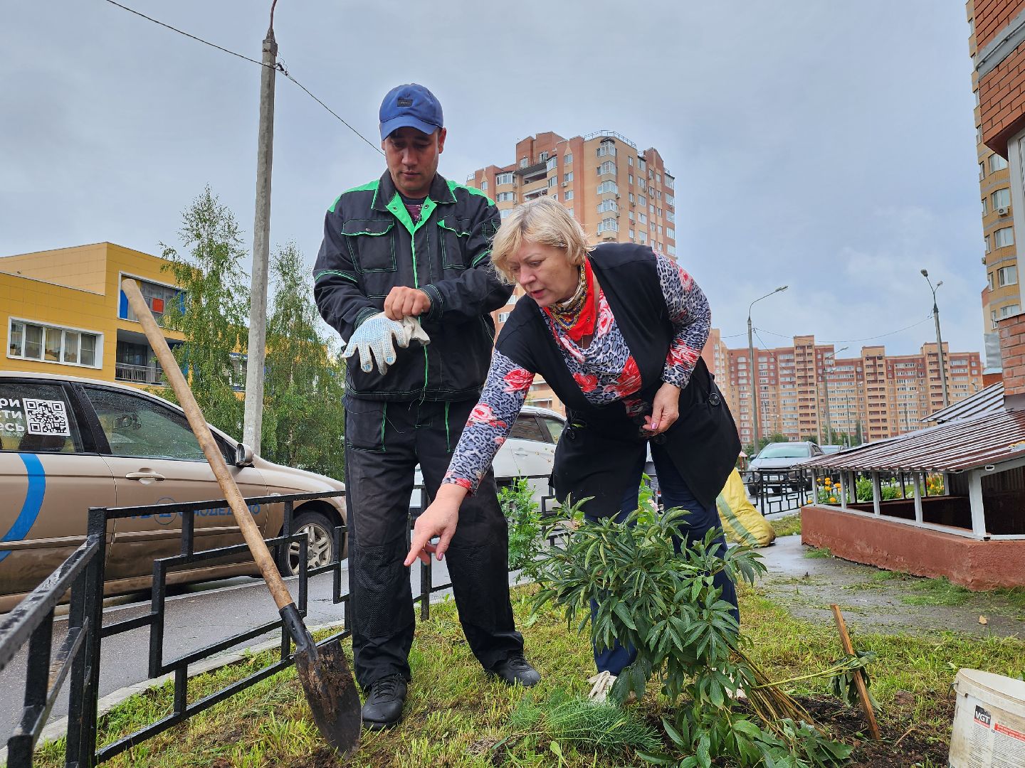 дворник, соседи, Домодедово