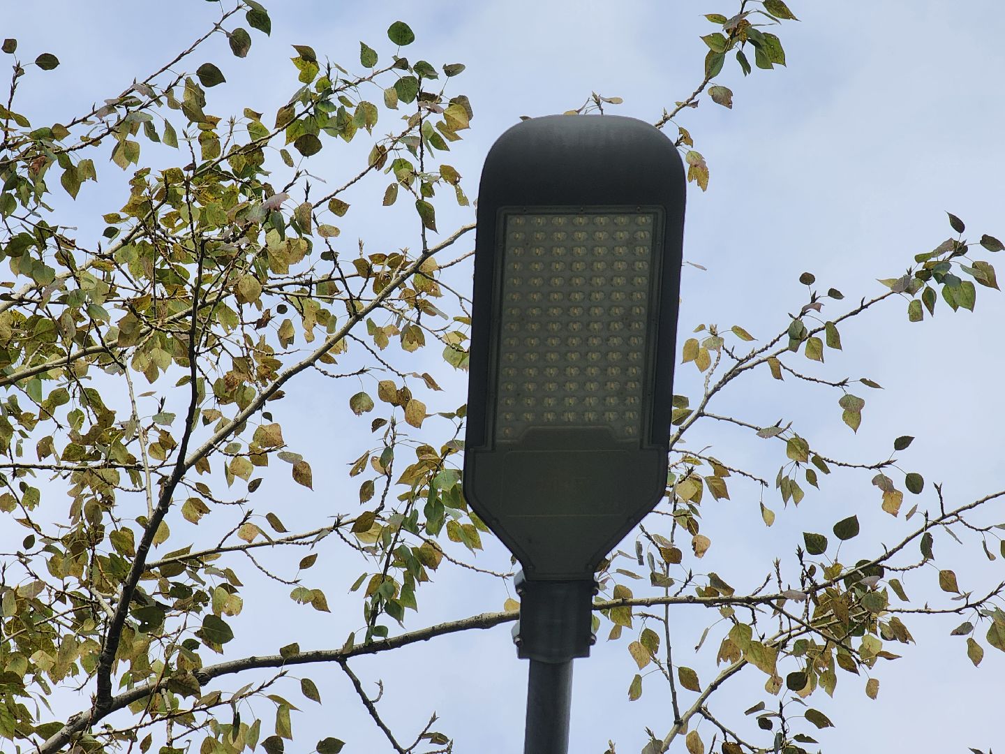 ивантеевка, пушкино, стадион, школа, спорт, освещение,