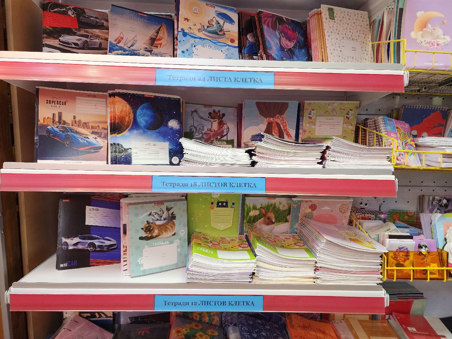 ивантеевка, пушкино, школа, учебный год, канцтовары,