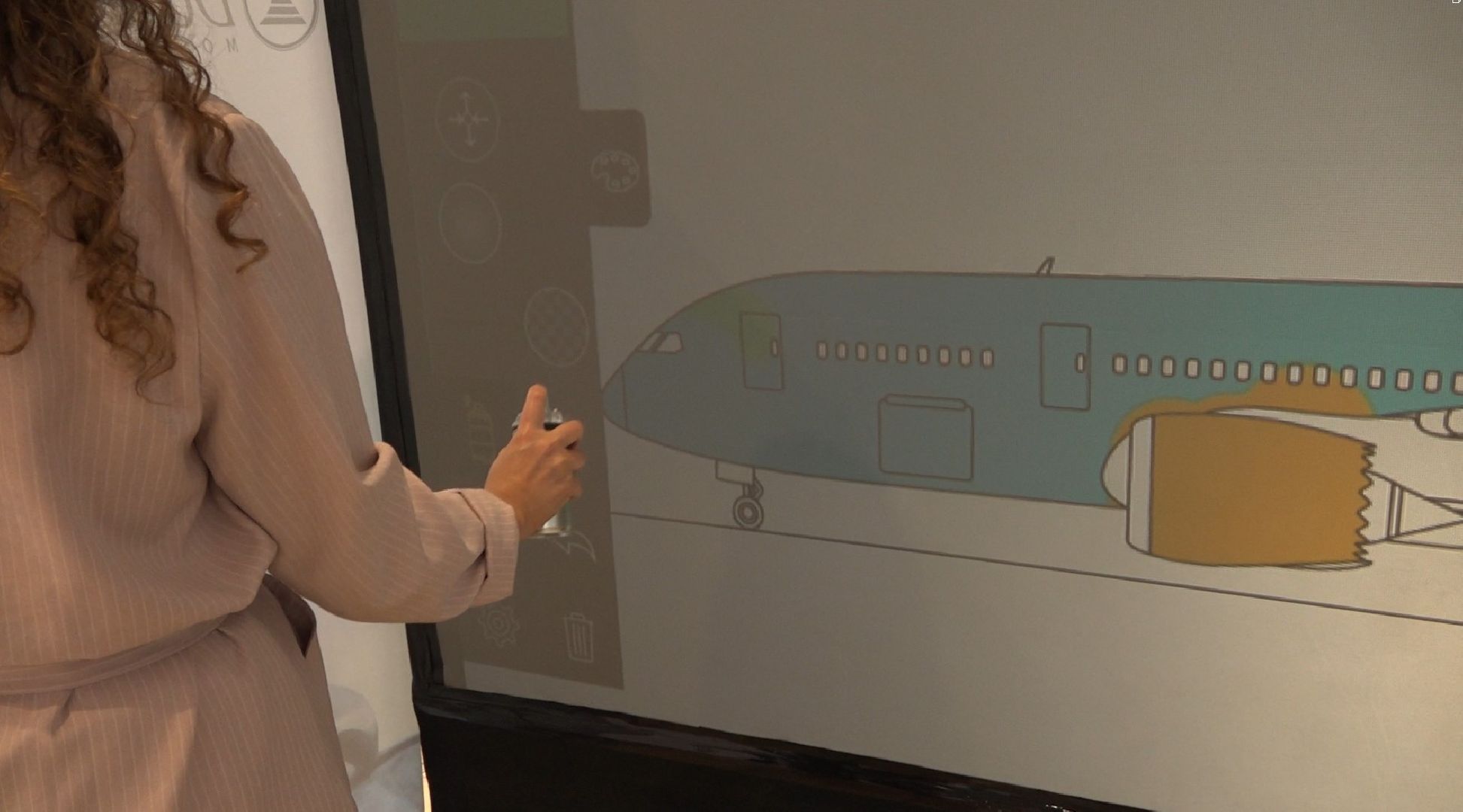 Ливрея самолёта, аэропорт Домодедово