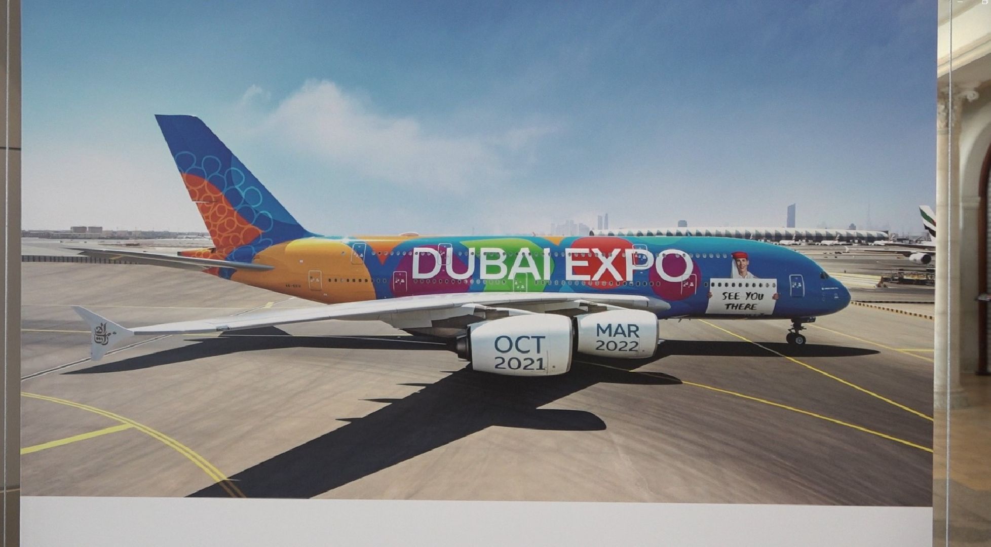 Ливрея самолёта, аэропорт Домодедово