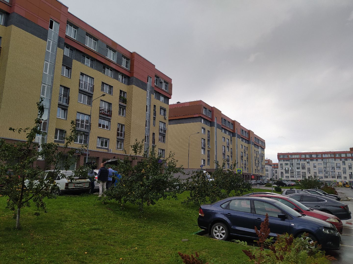 Нахабино, Красногорск, нападение, побои, ударил, ЧП