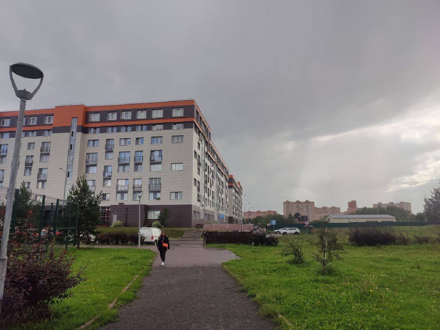 Нахабино, Красногорск, нападение, побои, ударил, ЧП