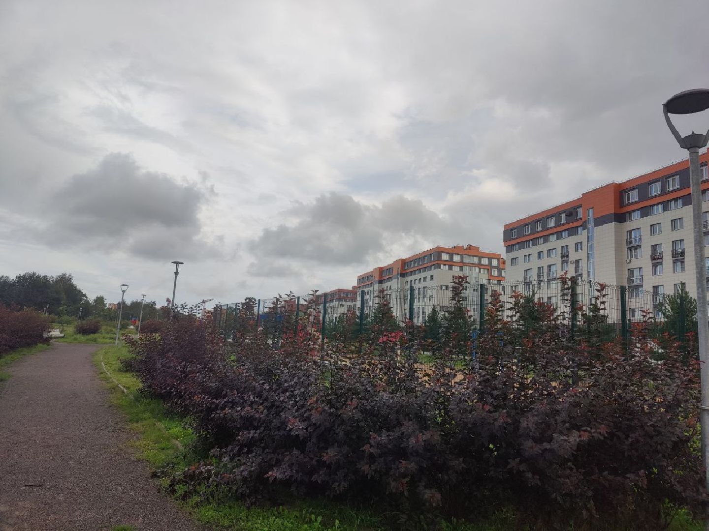 Нахабино, Красногорск, нападение, побои, ударил, ЧП