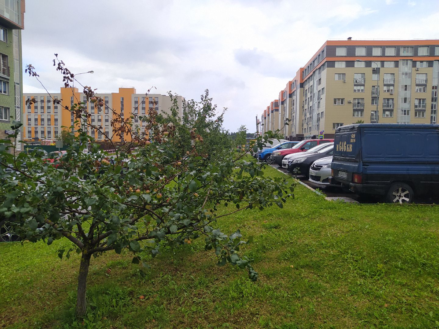 Нахабино, Красногорск, нападение, пробежка, женщина, удар, ЧП