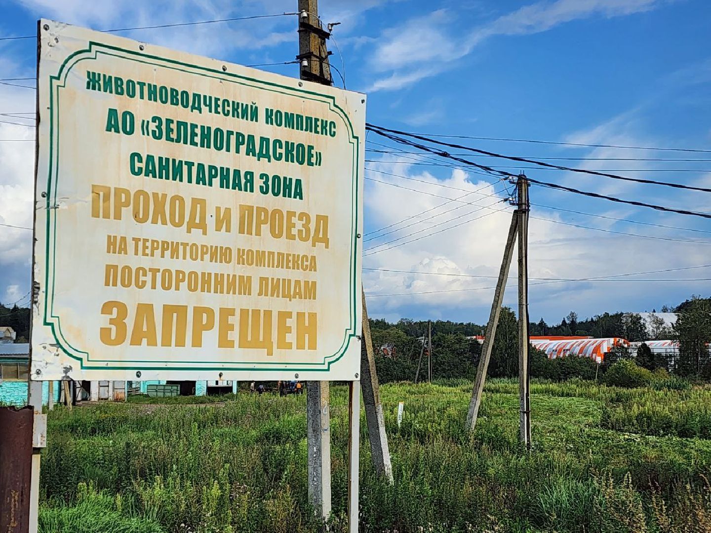 Пушкинский, экология, загрязнения воздуха, загрязнения воды, переработка,