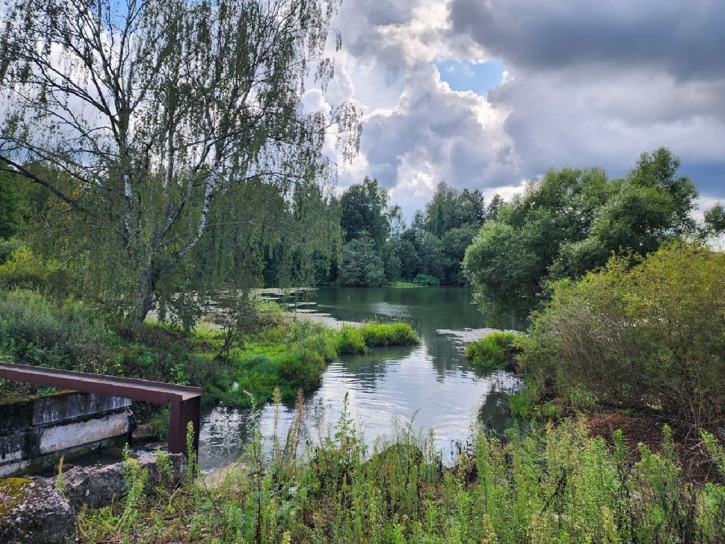 Пушкинский, экология, загрязнения воздуха, загрязнения воды, переработка,