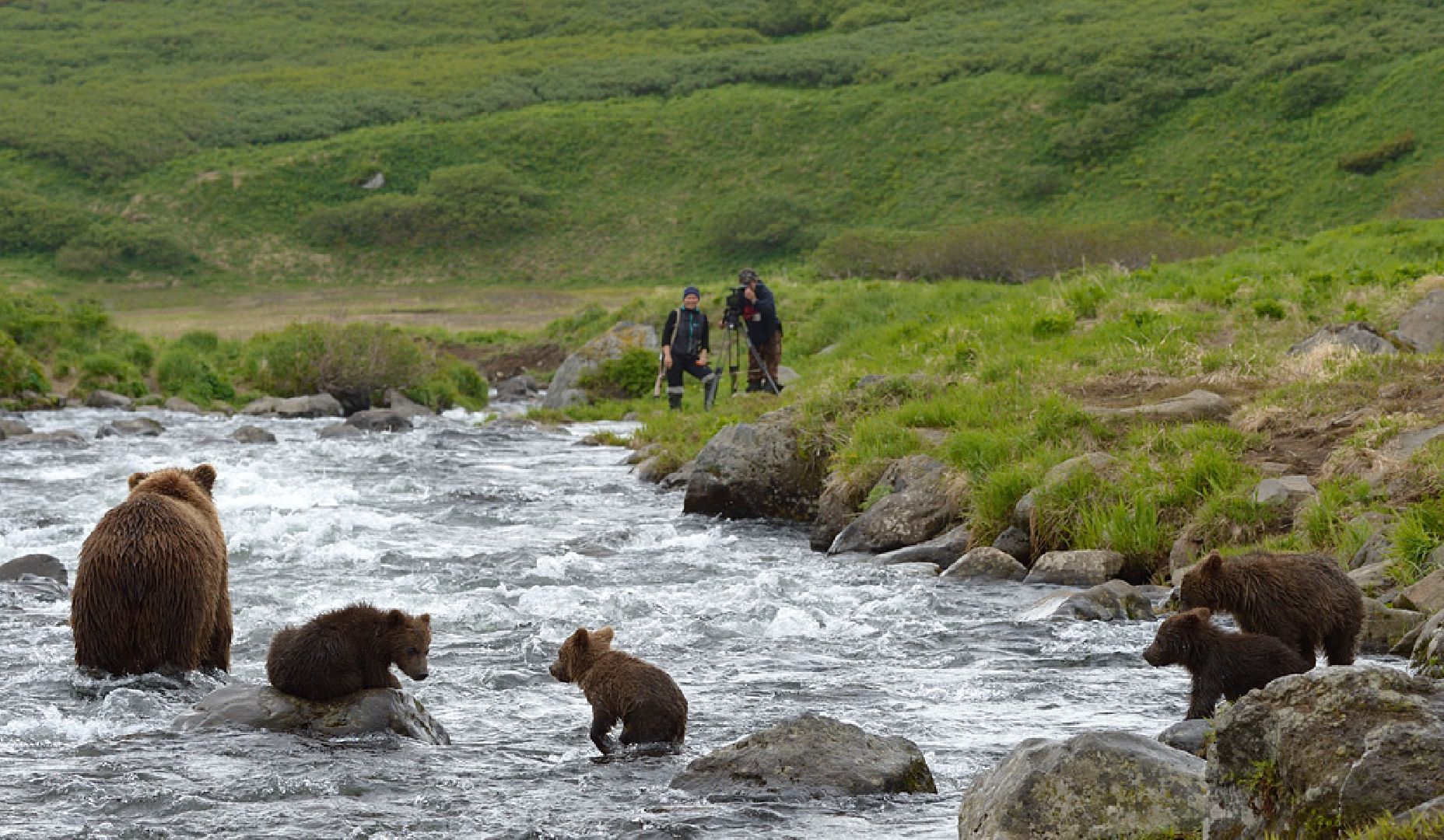 Пущино, экология