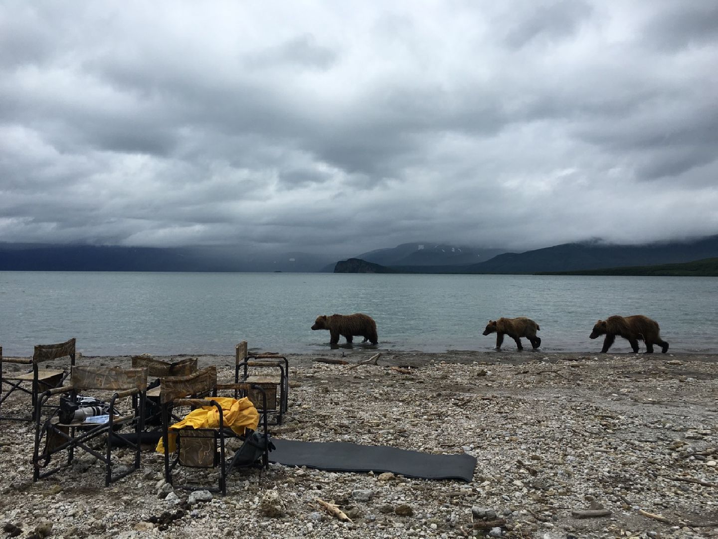 Пущино, экология