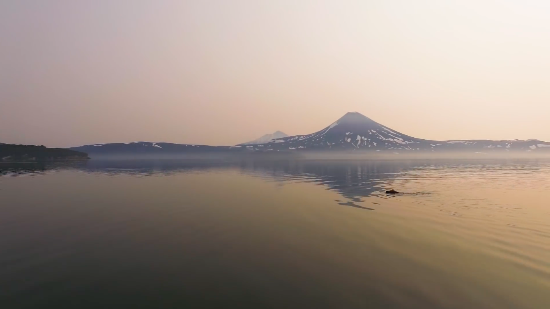 Пущино, экология