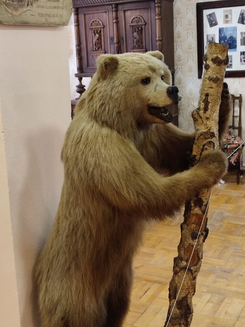 #музей, #талдом, #история, #литература, #культура