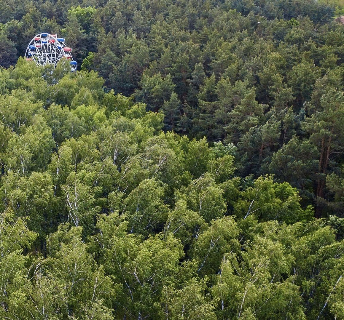 Домодедово, парки Подмосковья, народная стройка, парк Елочки, комсомольцы, партия, ДЦ Модуль, активисты, волонтеры