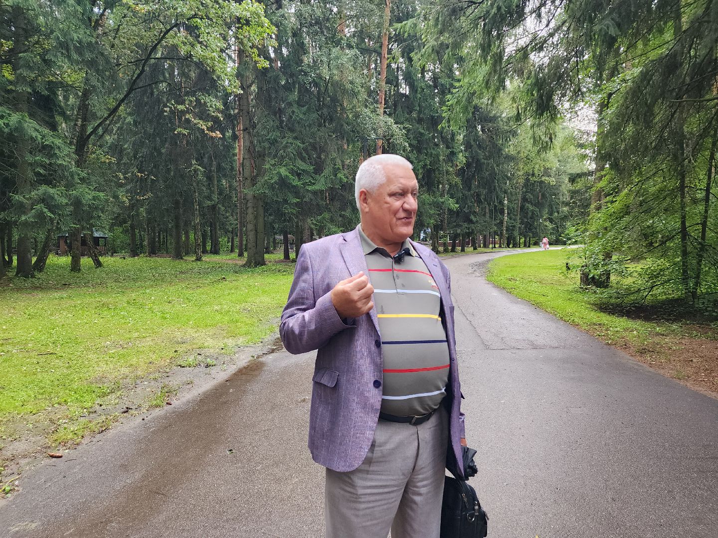 Домодедово, парки Подмосковья, народная стройка, парк Елочки, комсомольцы, партия, ДЦ Модуль, активисты, волонтеры