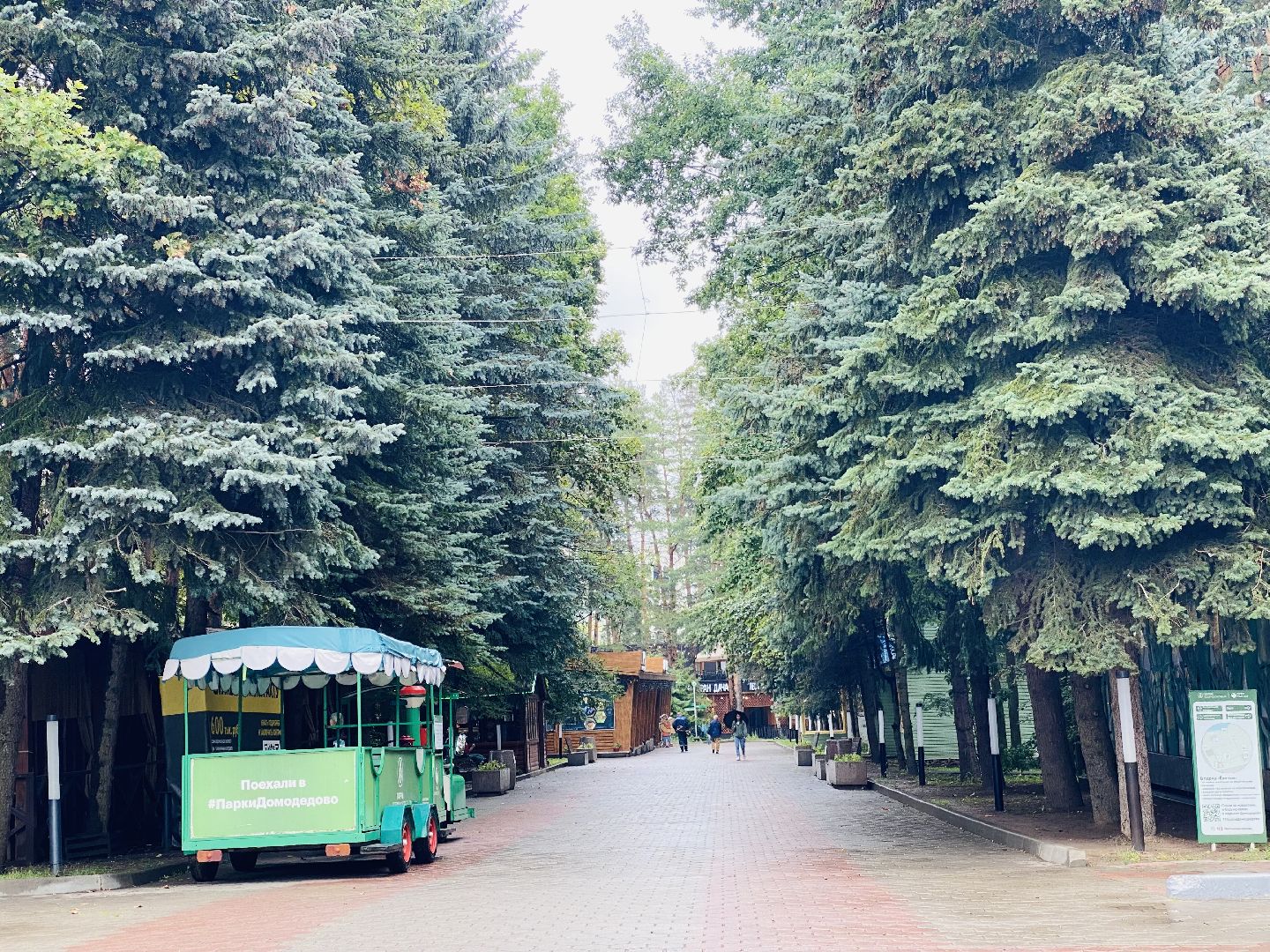 Домодедово, парки Подмосковья, народная стройка, парк Елочки, комсомольцы, партия, ДЦ Модуль, активисты, волонтеры