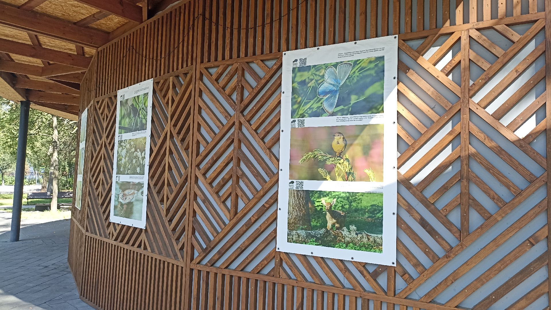 Серпухов, Подмосковье, парк, выставка, заповедник