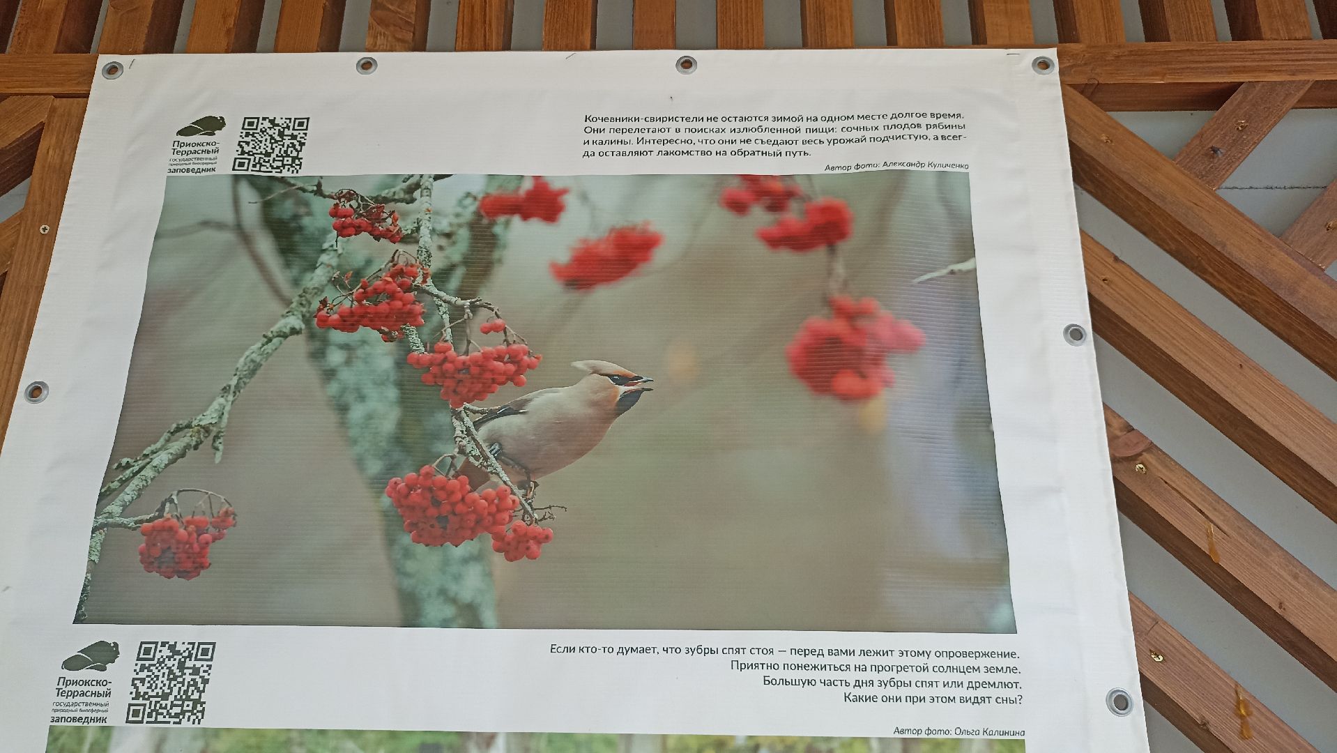 Серпухов, Подмосковье, парк, выставка, заповедник