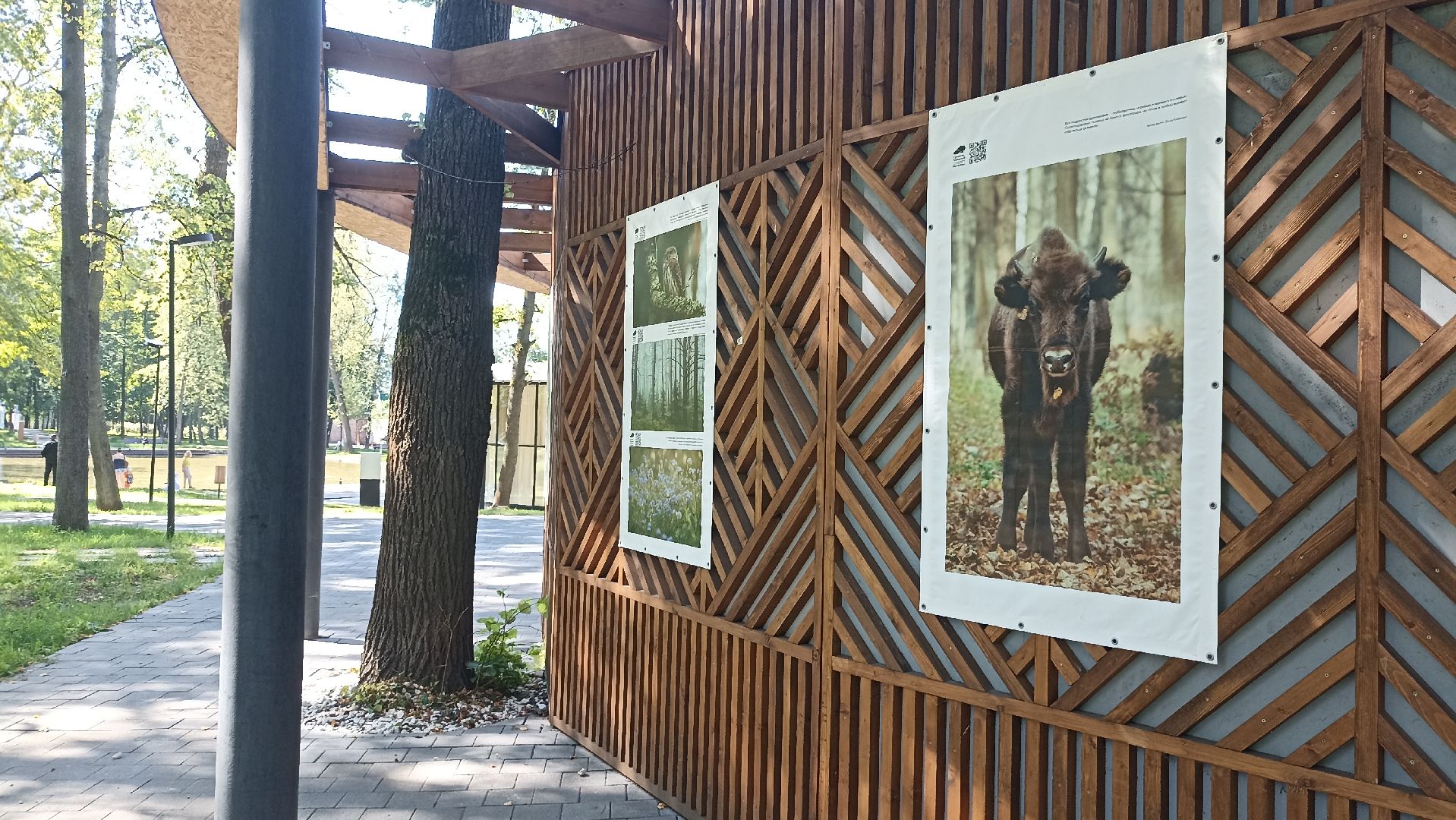 Серпухов, Подмосковье, парк, выставка, заповедник
