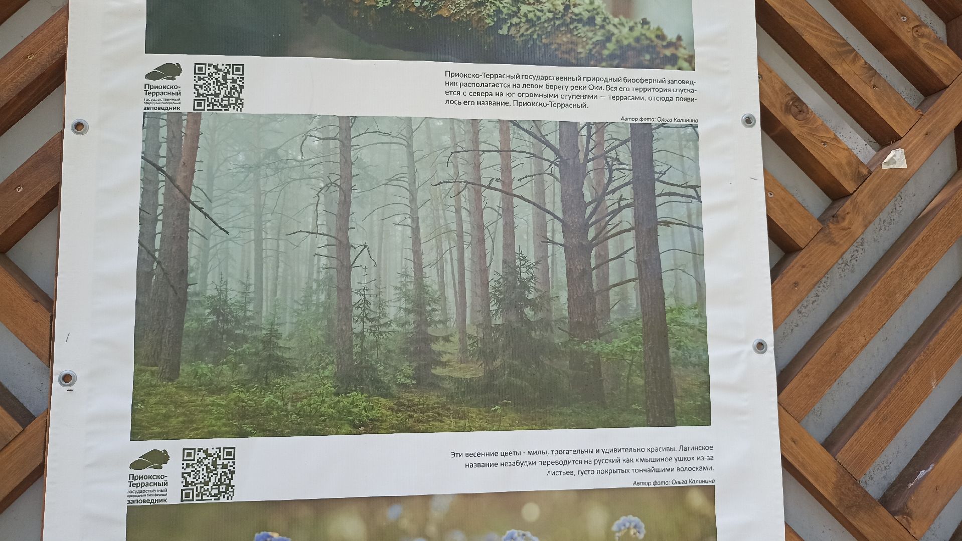 Серпухов, Подмосковье, парк, выставка, заповедник