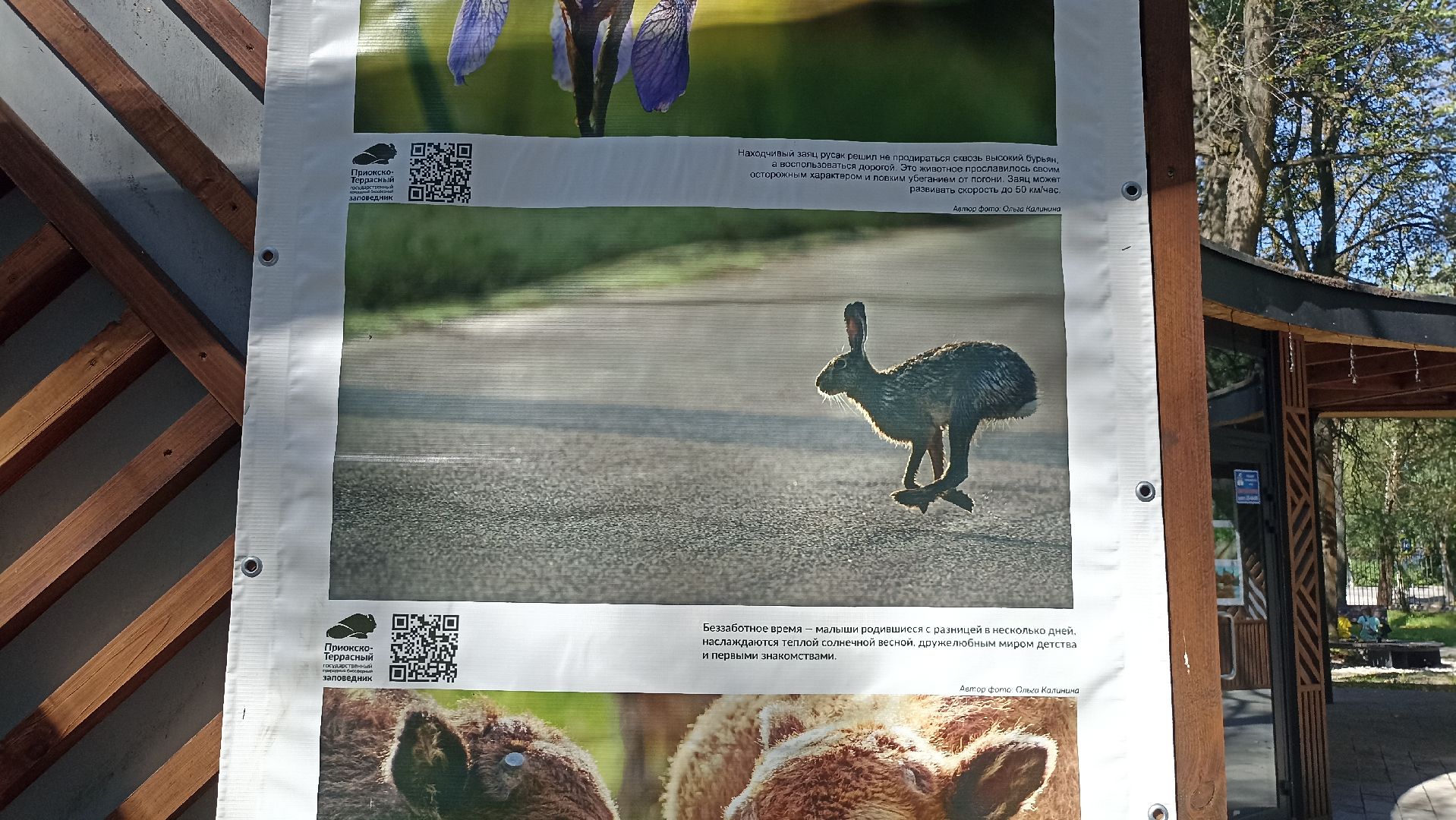 Серпухов, Подмосковье, парк, выставка, заповедник