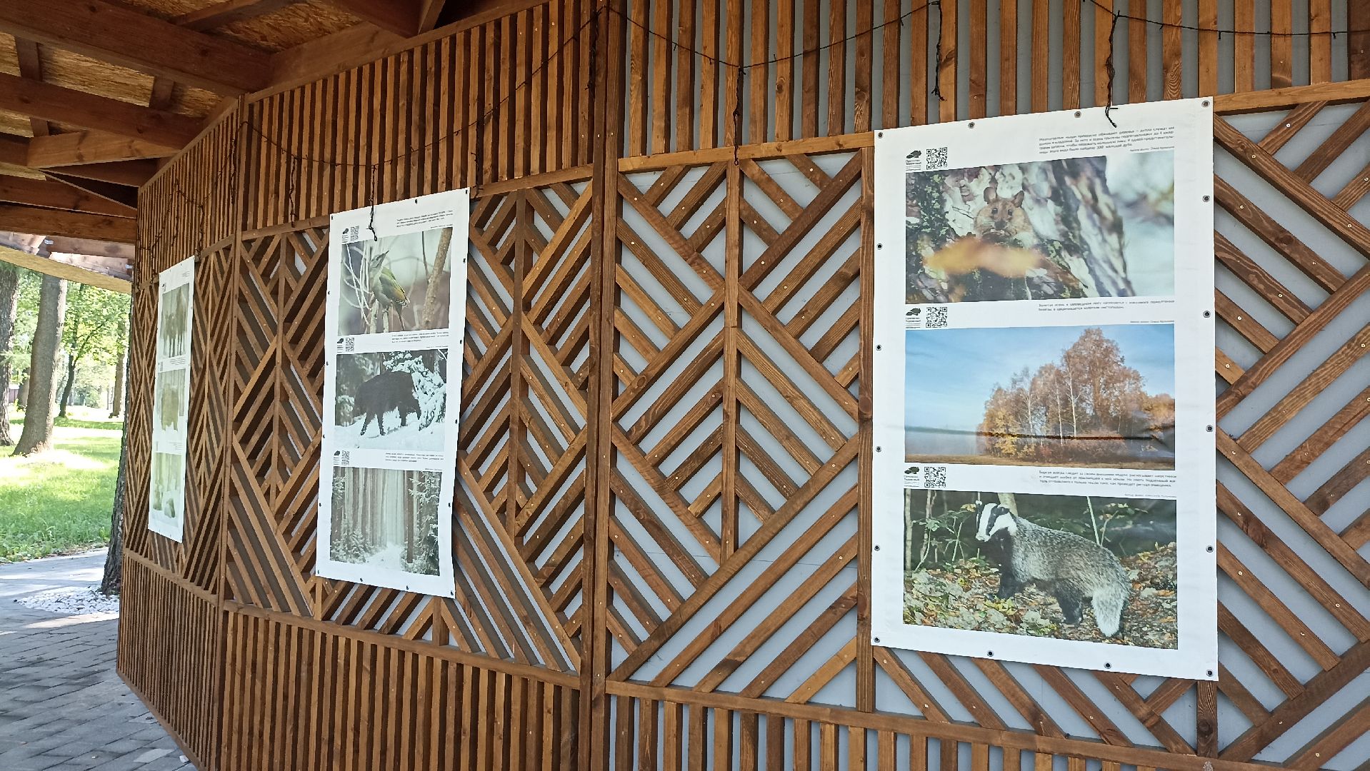 Серпухов, Подмосковье, парк, выставка, заповедник