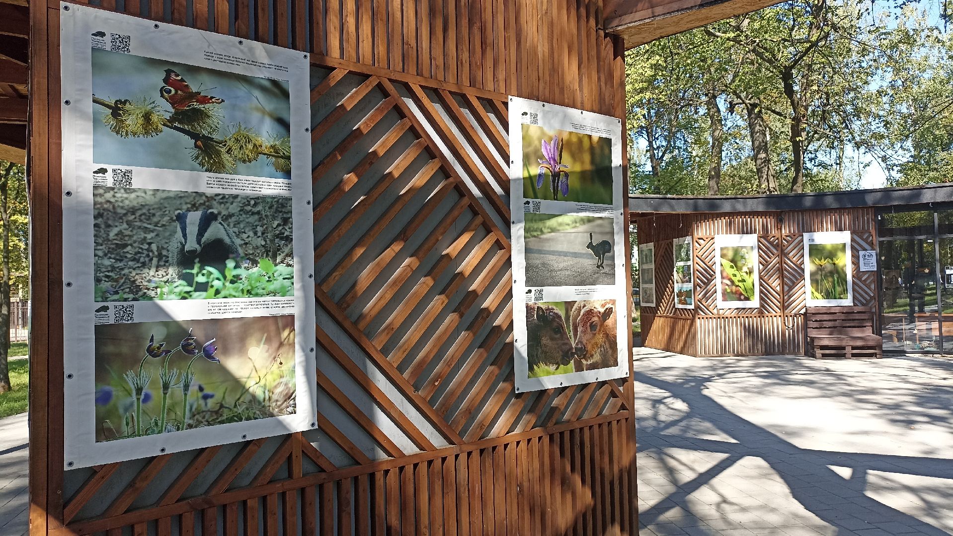 Серпухов, Подмосковье, парк, выставка, заповедник