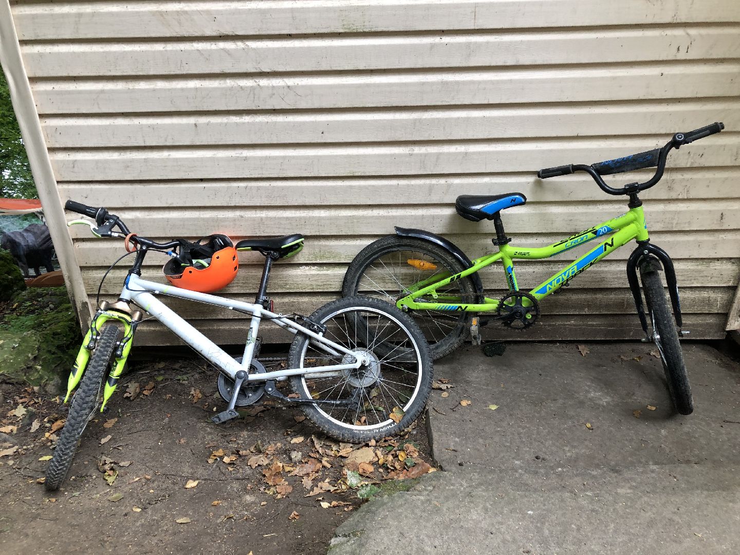 коломна, общество дети,