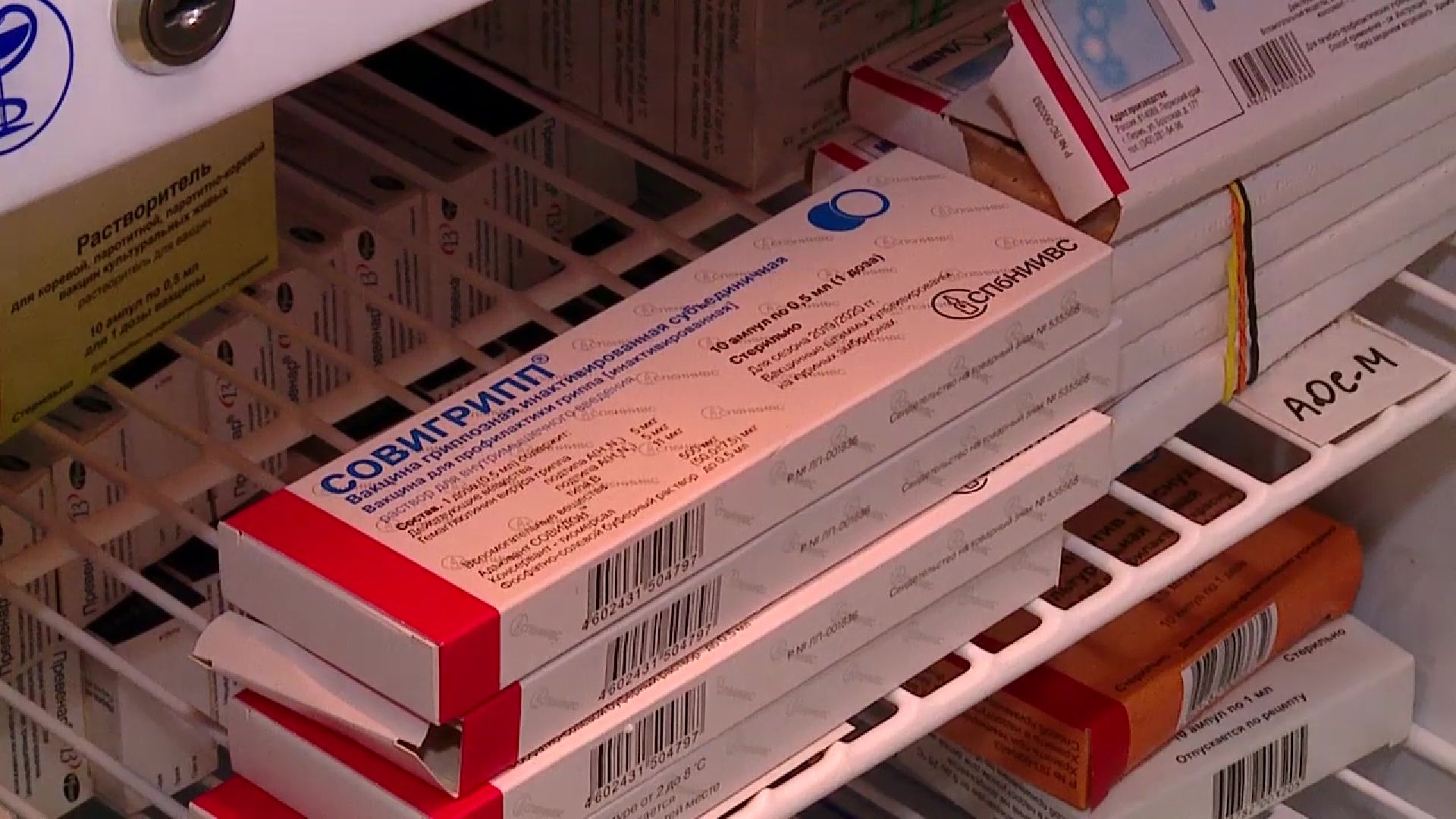 Реутов, здравоохранение, медицина, грипп, прививки, прививочная кампания, вакцинация