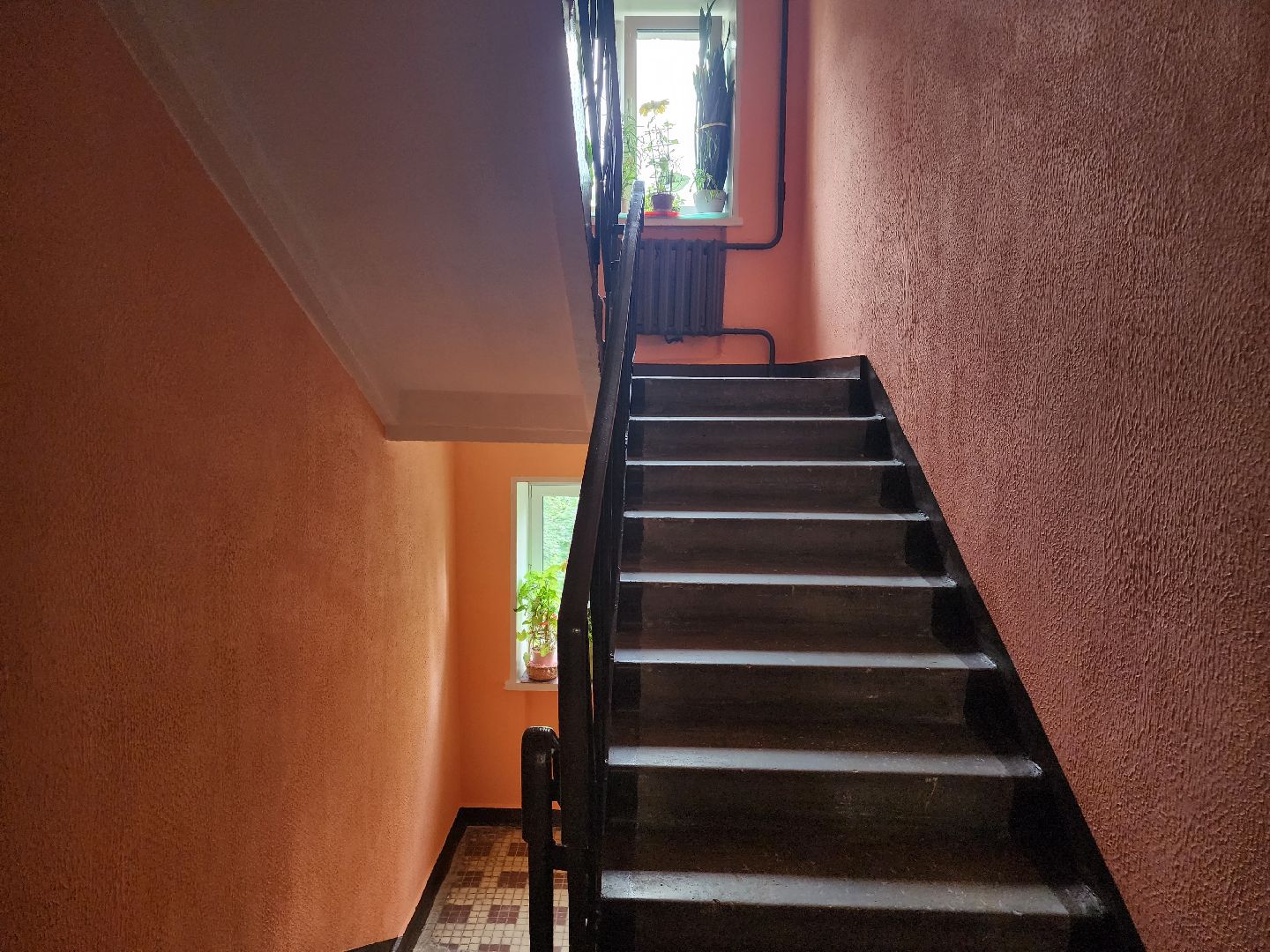 Мытищи, умная коммуникация, Перловка