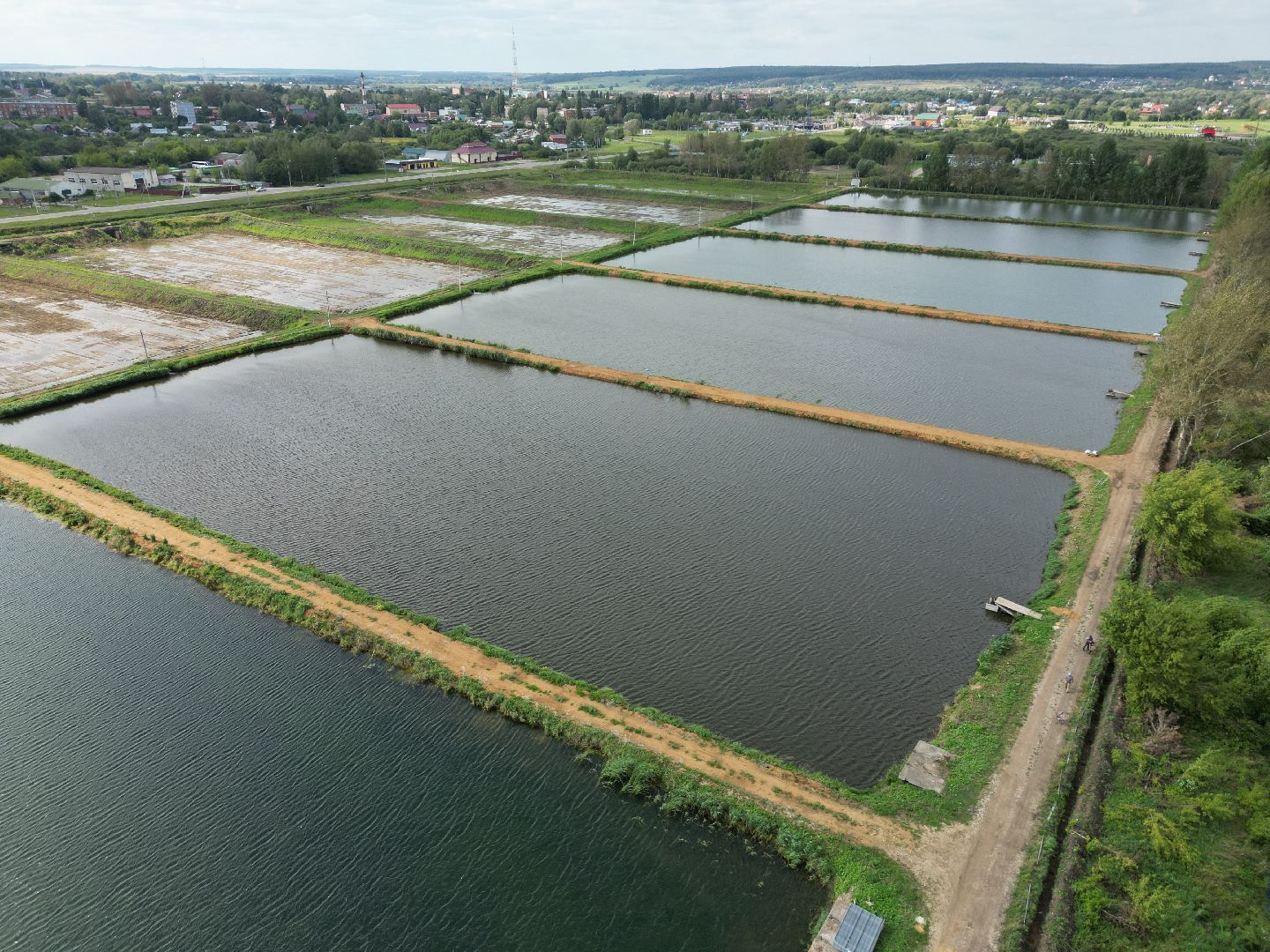 осетр, хозяйство,видео с коптера,