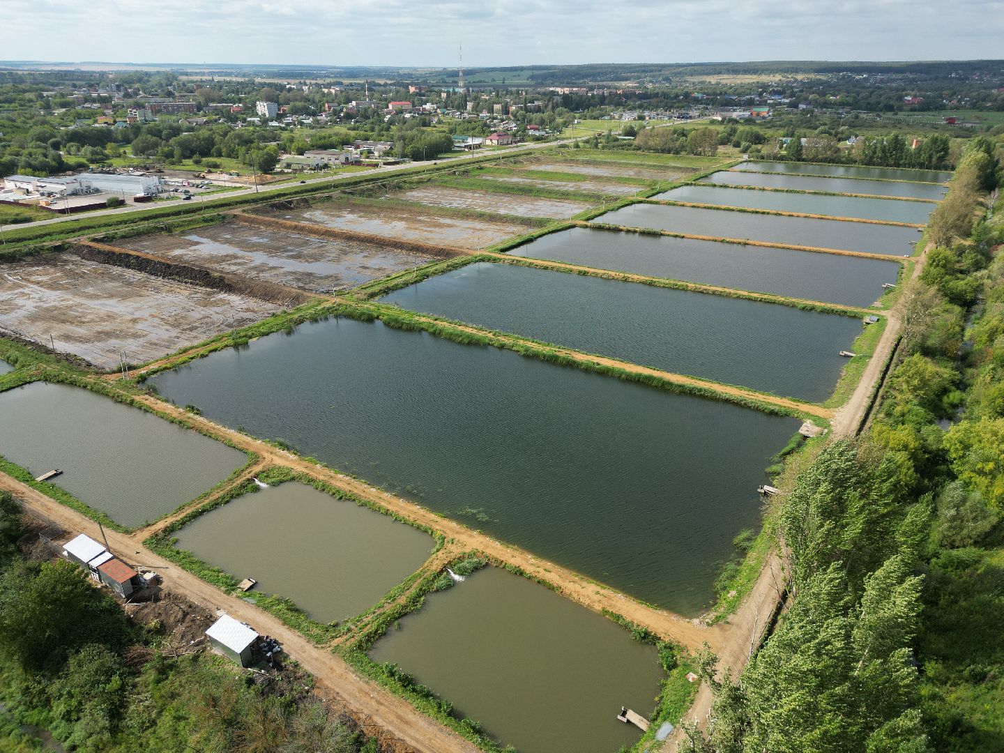 осетр, хозяйство,видео с коптера,